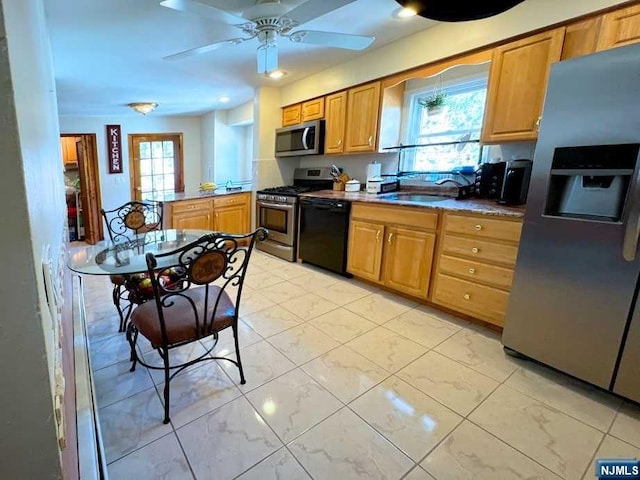 kitchen featuring ceiling fan, sink, and stainless steel appliances