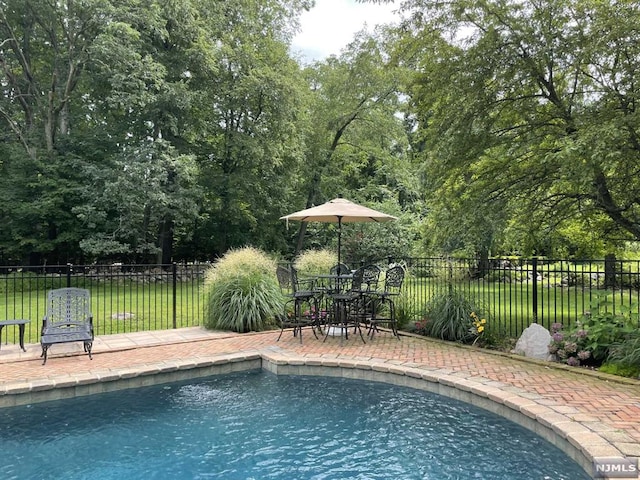 view of swimming pool featuring a patio