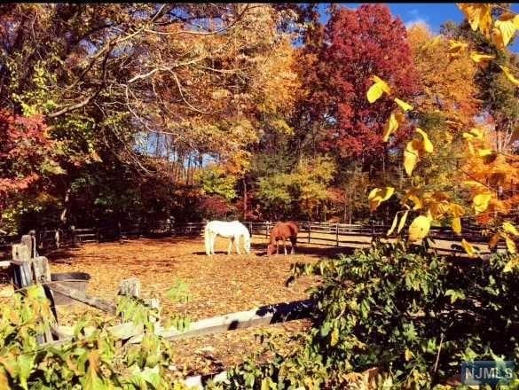 view of yard with a rural view