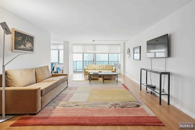 living room with light hardwood / wood-style flooring