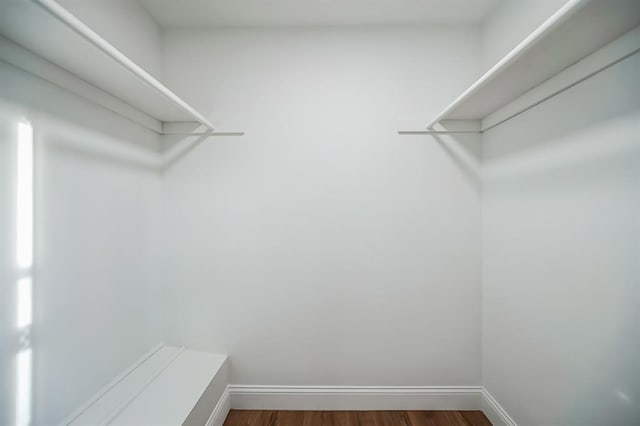 walk in closet with dark hardwood / wood-style floors