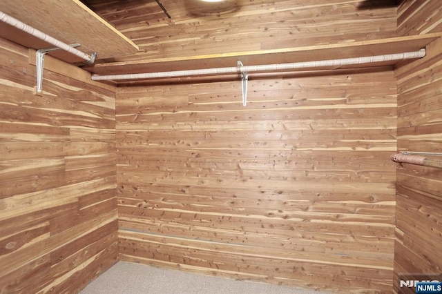 spacious closet featuring carpet floors