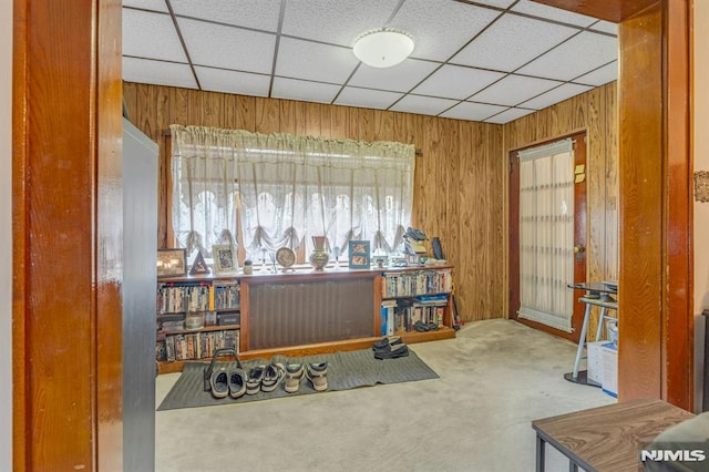 misc room with wood walls and carpet floors