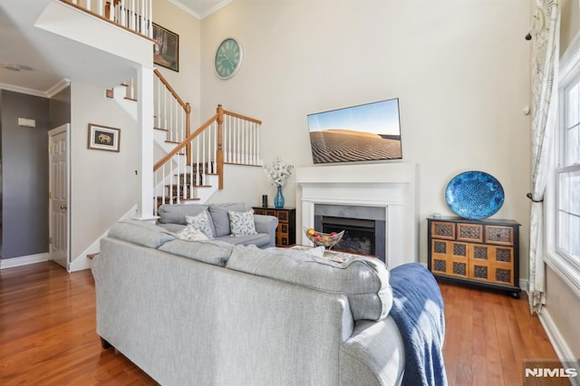 living room featuring ornamental molding and hardwood / wood-style flooring