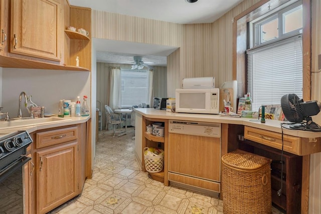 kitchen with dishwasher, ceiling fan, black range with electric stovetop, and sink