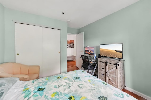 bedroom featuring wood-type flooring and a closet