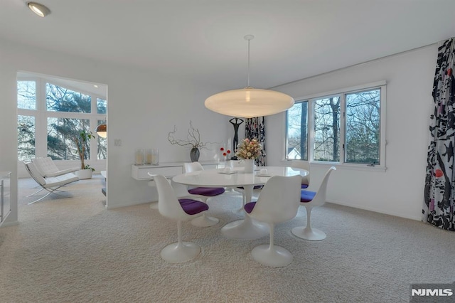 dining space featuring carpet floors