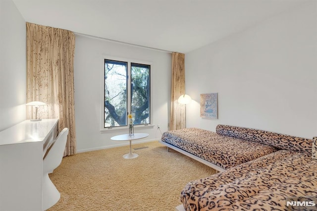 bedroom with carpet floors