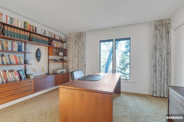 office area with light colored carpet