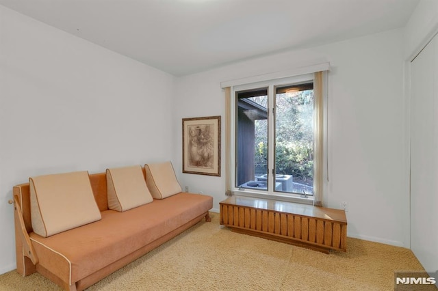 sitting room with radiator and light carpet