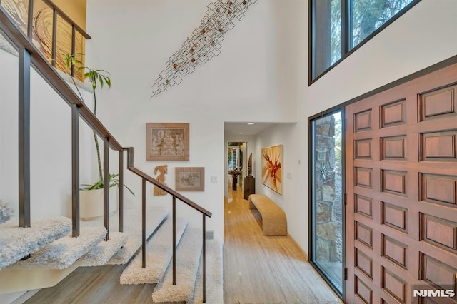 entrance foyer featuring light wood-type flooring and a towering ceiling