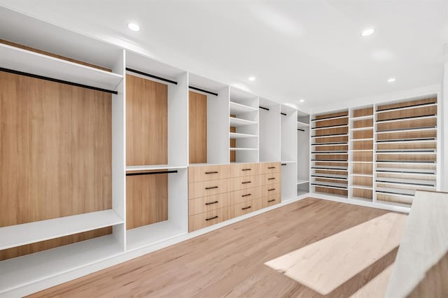 walk in closet featuring wood-type flooring