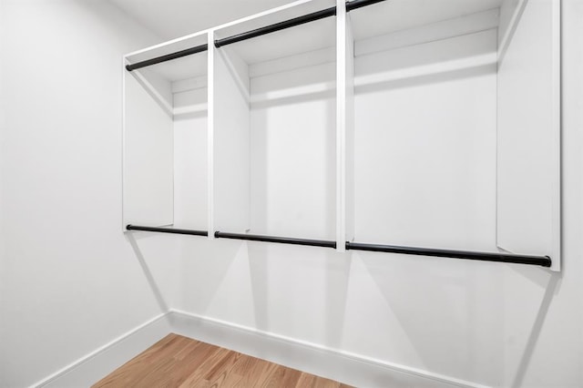 spacious closet featuring wood-type flooring