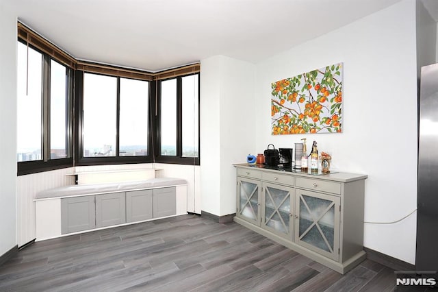 interior space with dark wood-type flooring