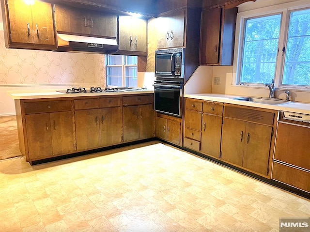 kitchen featuring exhaust hood, sink, and black appliances