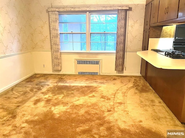 interior space featuring radiator heating unit and carpet floors