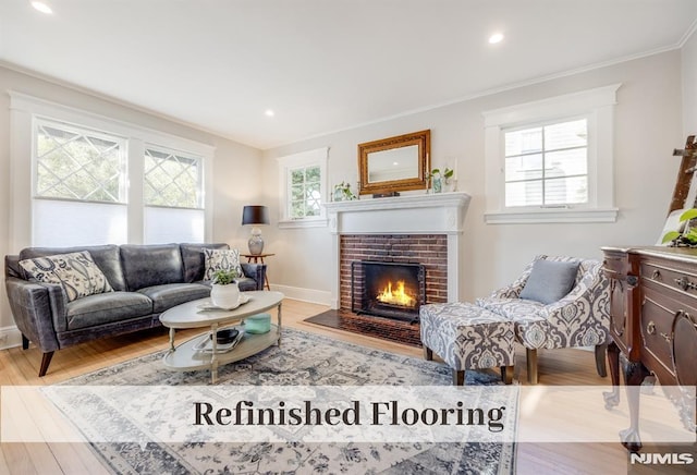 living room featuring a fireplace, light hardwood / wood-style floors, and crown molding