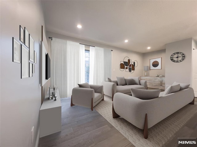 living room with hardwood / wood-style floors