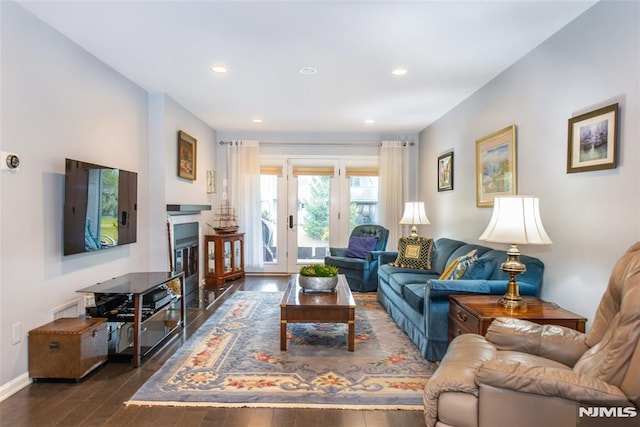 living room featuring dark hardwood / wood-style flooring