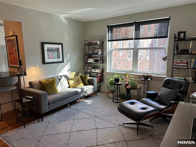 living area featuring light hardwood / wood-style floors