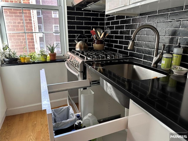 kitchen with ventilation hood, sink, and tasteful backsplash