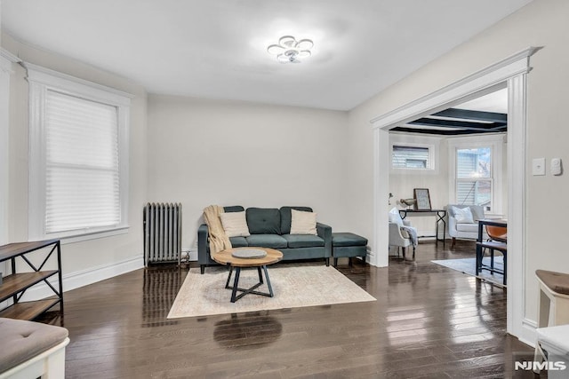 living room with dark hardwood / wood-style flooring and radiator