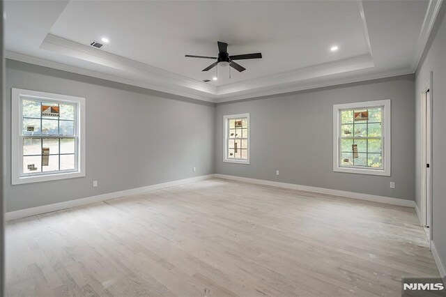 unfurnished room featuring a raised ceiling, ceiling fan, and plenty of natural light