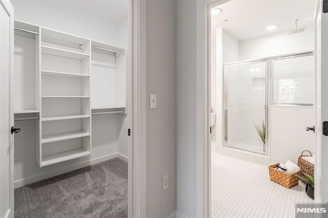 660 Bloomfield Ave Unit 402, Bloomfield, NJ 07003 - walk in closet with carpet floors