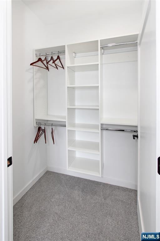 660 Bloomfield Ave Unit 402, Bloomfield, NJ 07003 - spacious closet featuring carpet flooring