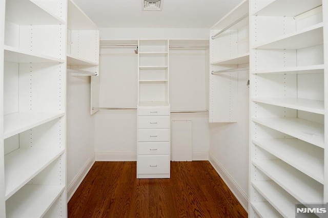 spacious closet featuring dark wood-type flooring