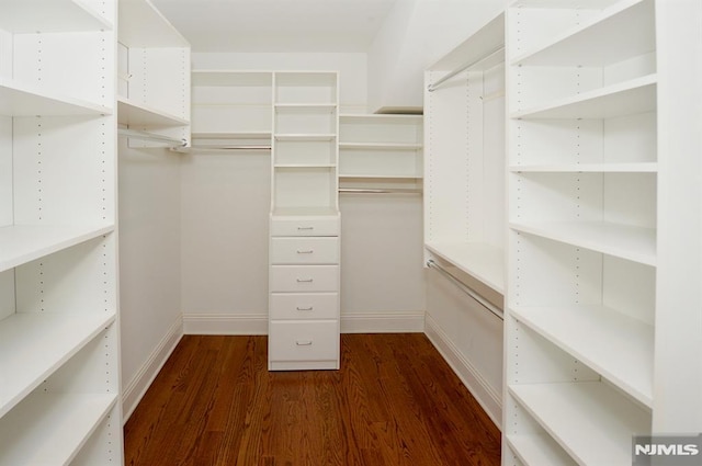 spacious closet with dark hardwood / wood-style floors