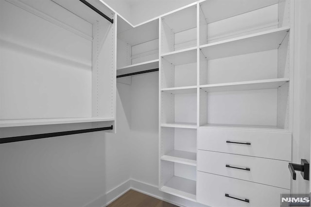 spacious closet with dark hardwood / wood-style floors