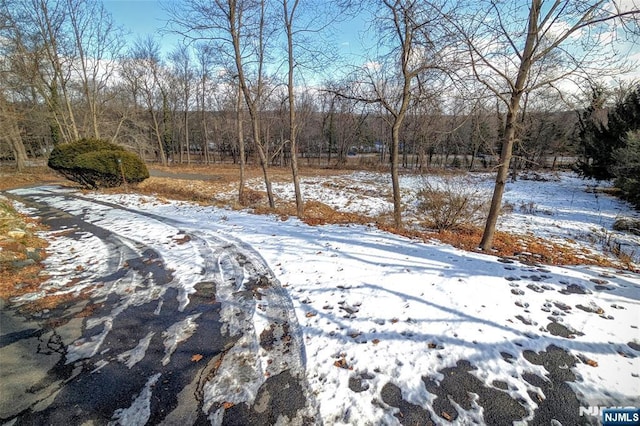 Listing photo 2 for 100 Overlook Dr, Woodcliff Lake NJ 07677