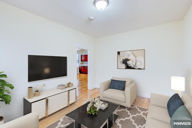 living room featuring hardwood / wood-style flooring