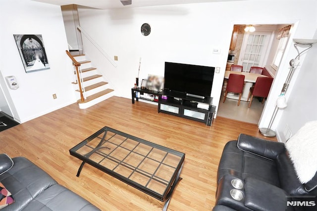 living room featuring wood-type flooring