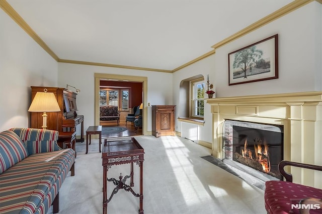 carpeted living room featuring a fireplace and ornamental molding