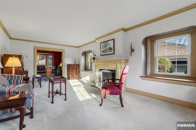 carpeted living room featuring ornamental molding and a healthy amount of sunlight