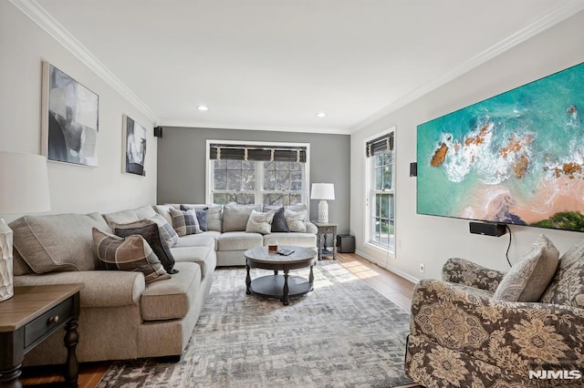 living room with ornamental molding and hardwood / wood-style flooring