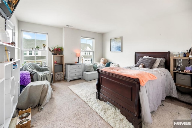 carpeted bedroom with multiple windows