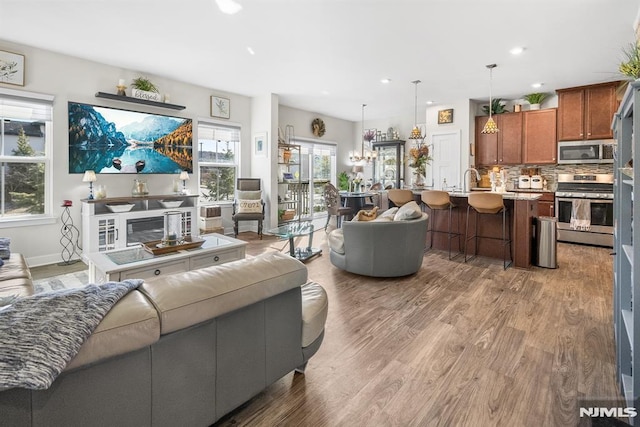 living room with dark hardwood / wood-style flooring