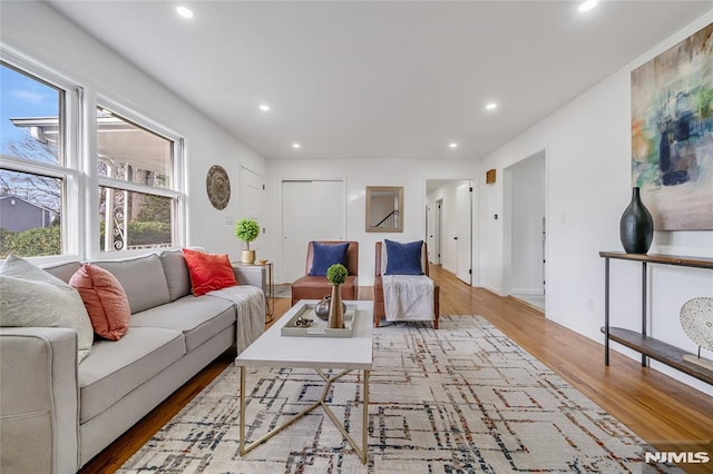 living room featuring a healthy amount of sunlight and hardwood / wood-style flooring