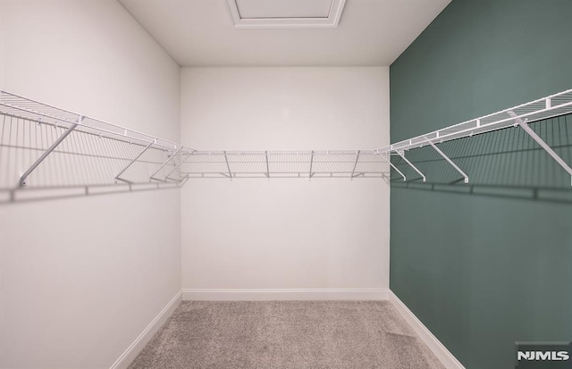 spacious closet featuring carpet floors