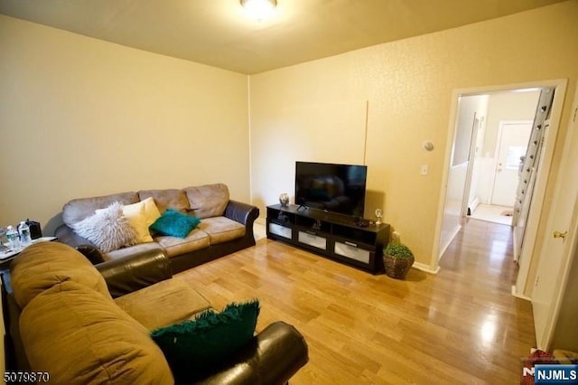 living room with light hardwood / wood-style floors