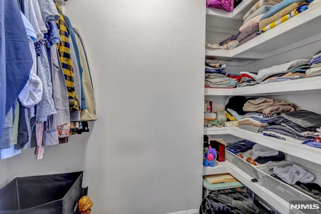 view of walk in closet