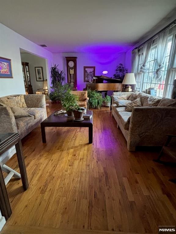 living room with hardwood / wood-style floors