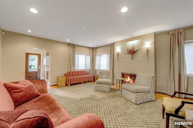 living room featuring baseboard heating and a healthy amount of sunlight