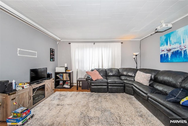 living room with ornamental molding