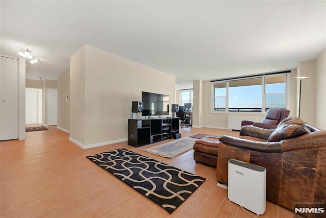 living room featuring wood-type flooring