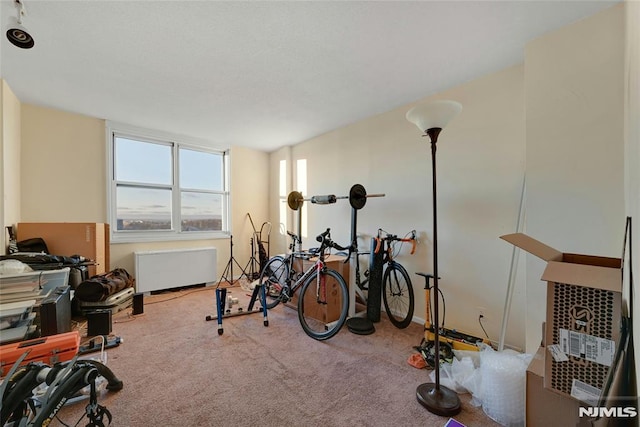 workout area with radiator and light carpet