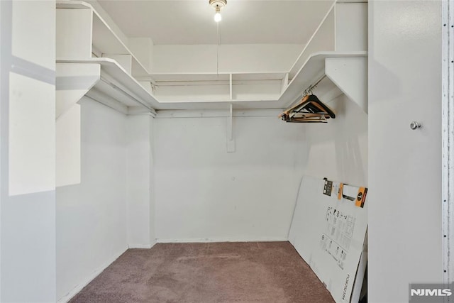 spacious closet featuring light colored carpet